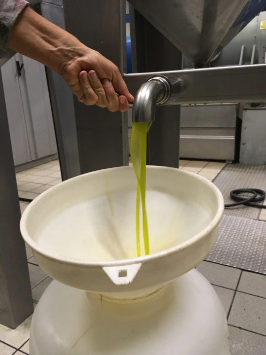olio-a