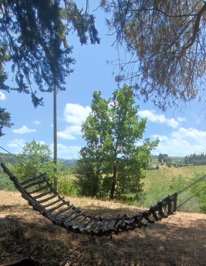 amaca