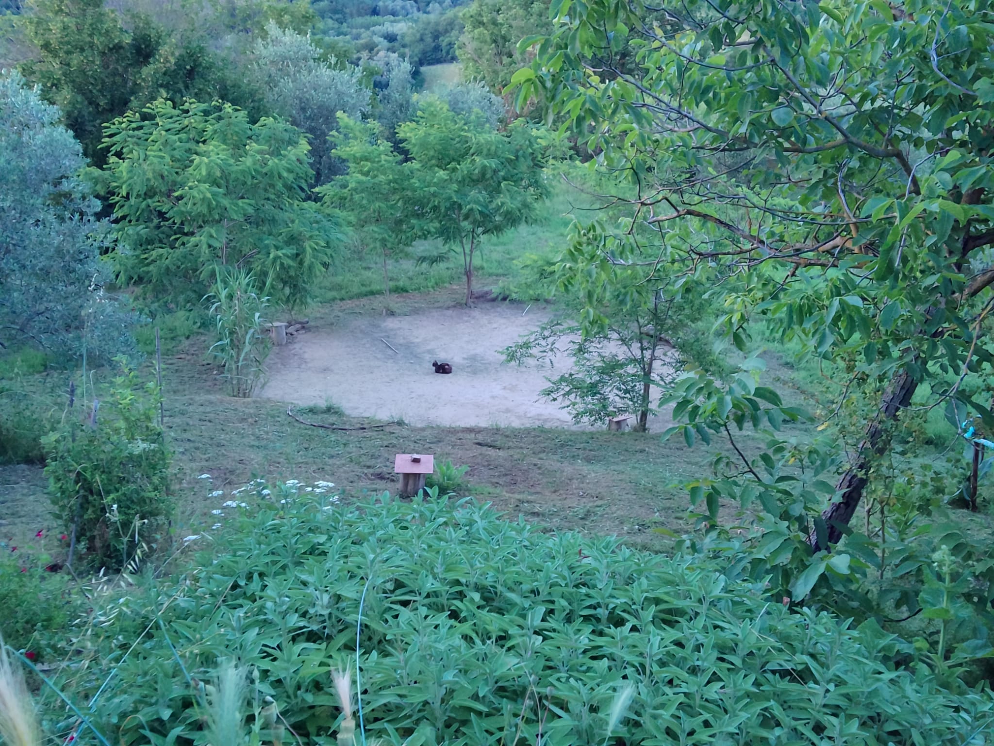 cerchio2