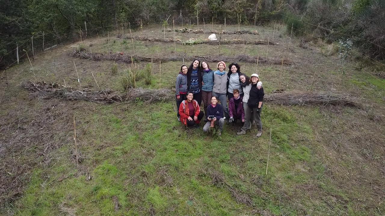 fforest2